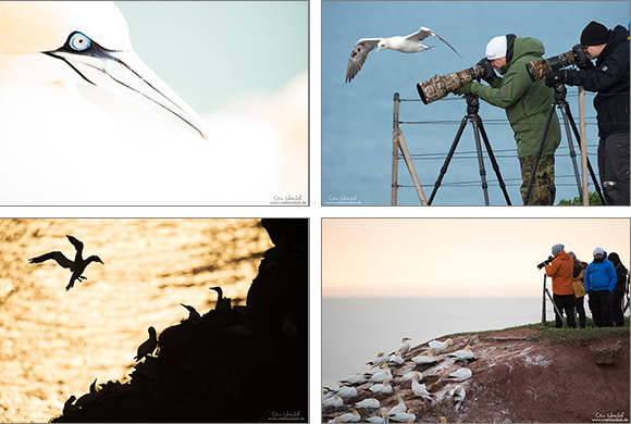 Workshop auf Helgoland