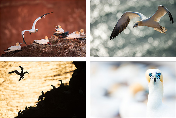 Workshop auf Helgoland