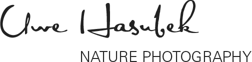 Uwe Hasubek Nature Photography (Logo)